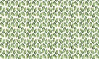 Фотообои Respace Акварель Эвкалипт