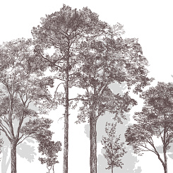 Фотообои Craft Design Lab Креатив