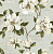 Обои Jaima Brown Charleston Home