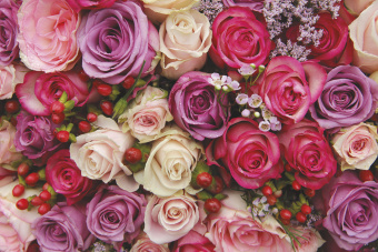 Фрески/Панно ORTOGRAF