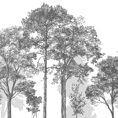 Фотообои Craft Design Lab Креатив