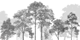 Фотообои Craft Design Lab Креатив