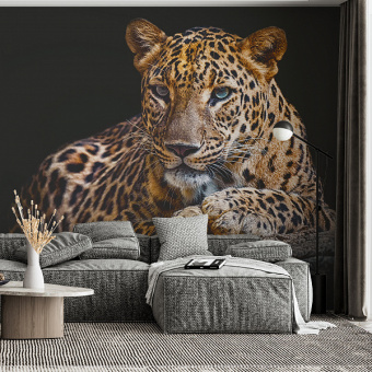 Фотообои Мне обои