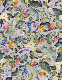 Обои Jannelli&Volpi JV503 Botanical