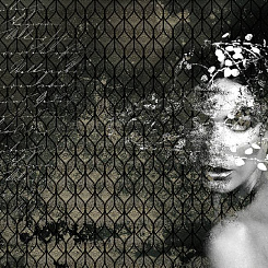  Обои Skinwall Contemporary Collection