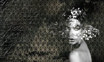  Обои Skinwall Contemporary Collection