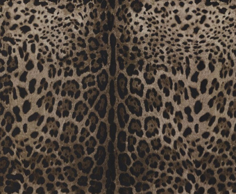 Обои Dolce&Gabbana Dolce&Gabbana №1 