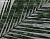 Фотообои Wall Street Selva