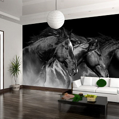 Обои Artmegahome Черно-белые