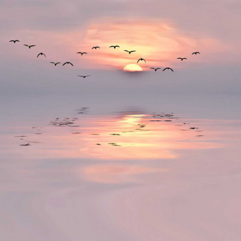 Фотообои Мне обои