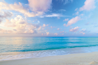 Фрески/Панно ORTOGRAF