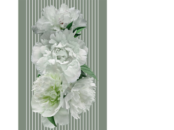 Фотообои Wall Street GREENDAY 22