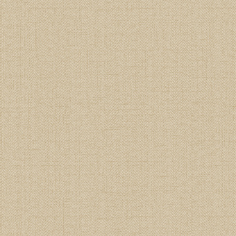 Обои Alessandro Allori Bruni