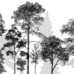 Фотообои Craft Design Lab Креатив