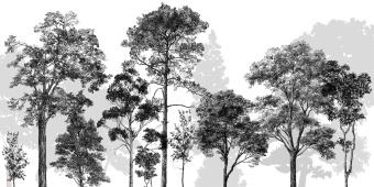 Фотообои Craft Design Lab Креатив