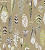 Обои Designers Guild Tulipa Stellata