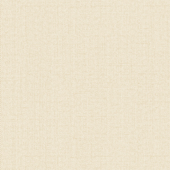 Обои Alessandro Allori Bruni