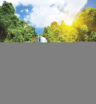 Фрески/Панно ORTOGRAF