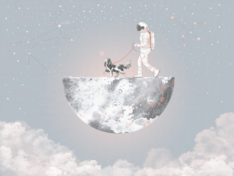 Фотообои Wall Street Cosmos-25