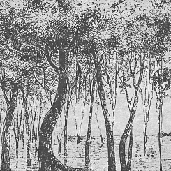 Фотообои Wall Street ESTAMPE