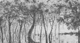 Фотообои Wall Street ESTAMPE