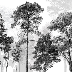 Фотообои Craft Design Lab Креатив