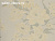Обои Print 4 Tendence