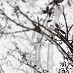  Обои Skinwall Contemporary Collection