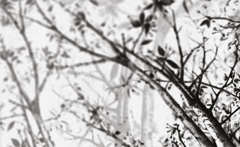  Обои Skinwall Contemporary Collection