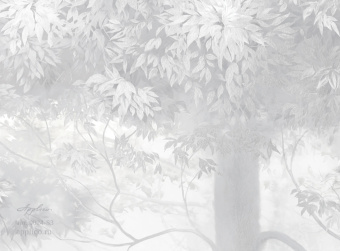 Фрески/Панно Applico