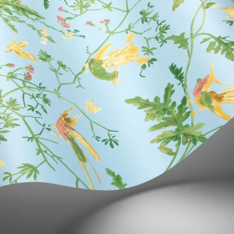 Обои Cole & Son Selection of Hummingbirds