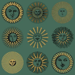 Обои Cole & Son Fornasetti Senza Tempo II