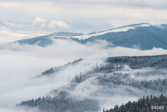 Фрески/Панно ORTOGRAF