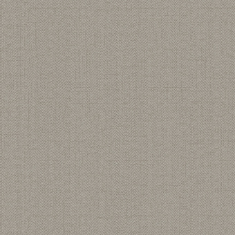 Обои Alessandro Allori Bruni