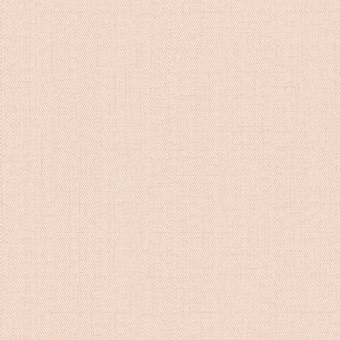 Обои Alessandro Allori Bruni