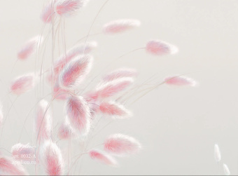 Фрески/Панно Applico