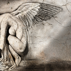  Обои Skinwall Contemporary Collection