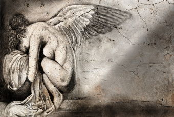  Обои Skinwall Contemporary Collection