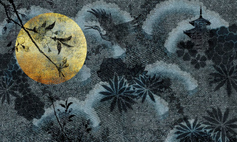  Обои Skinwall Contemporary Collection