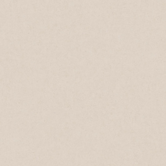 Обои Rasch Estetica