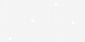 Обои Andrea Rossi SPECTRUM BOX