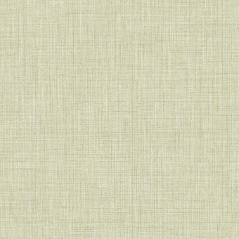 Обои Parato Amazzonia