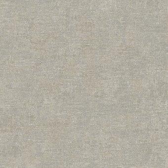 Обои Alessandro Allori Giorgio