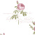 Обои AURA Rose Garden
