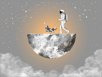 Фотообои Wall Street Cosmos-25