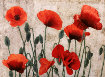 Фрески/Панно ORTOGRAF