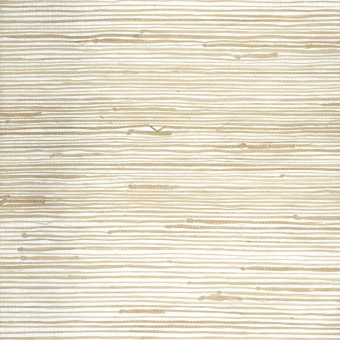 Обои Yate Into the Wild