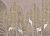 Обои Coordonne Random Chinoiseries II