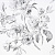 Обои Designers Guild Edit Florals