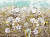 Фотообои Wall Street Giardino